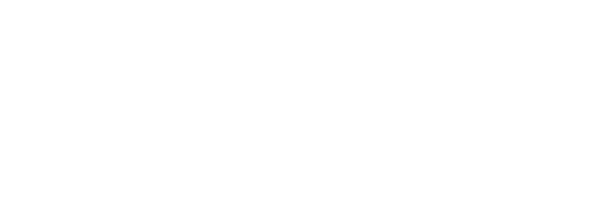 Prof. Dr. Yalçın Karakoca
